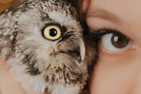 Cazino MR Fortune Cazinou Suport